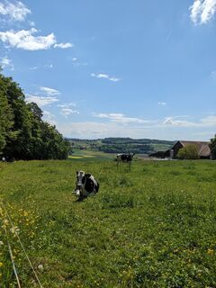 Photo de G. Jaquet le long du parcours