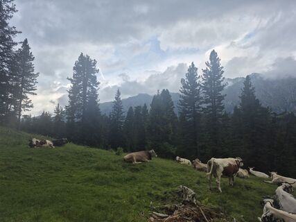 Villnöß - Funes, Trentino – Alto Adige/Südtirol/Italy