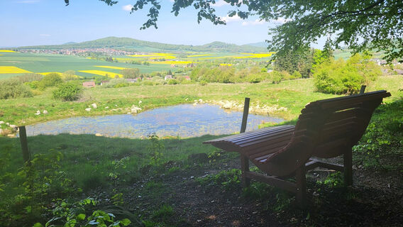 Waldsofa mit Ausblick
