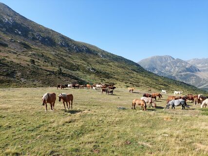 Photo de Jodeli le long du parcours