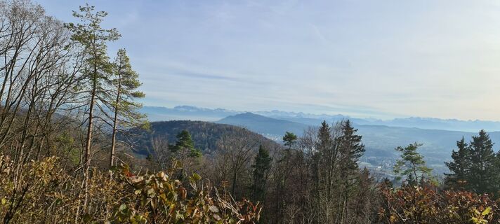 Foto von Bettina Brudermann entlang der Tour
