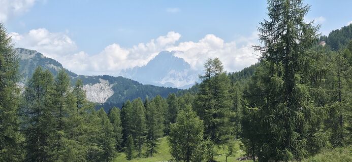 Photo de kludek le long du parcours
