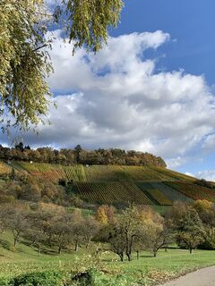 Fotografia z Bendifix na trase