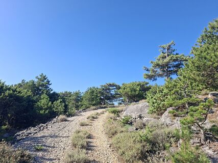 Fotografie z Cordulabarbarareiner na trase