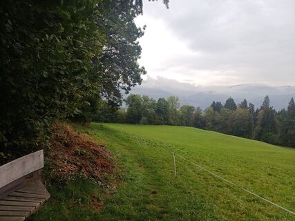 Foto von Thomas Michalek 1 entlang der Tour