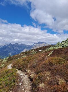 Foto da Greg+Lisa lungo il tour
