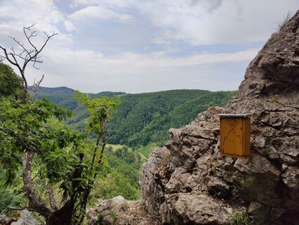 Rauchiger Fels