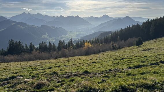 Fotografija s spletne strani peter_oe na poti