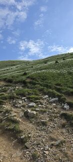 Foto von Roman Kramer entlang der Tour