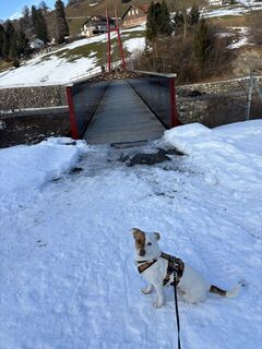 Fotografija s spletne strani Sergio Baselgia na poti