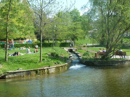 Zemljevid