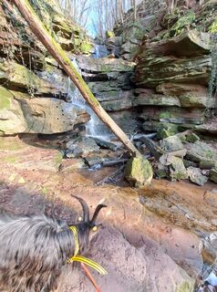 Fotografija s spletne strani Schwartzhox na poti