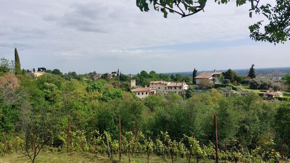 Photo de RobertE le long du parcours