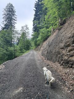 Foto von Bene Schadel entlang der Tour