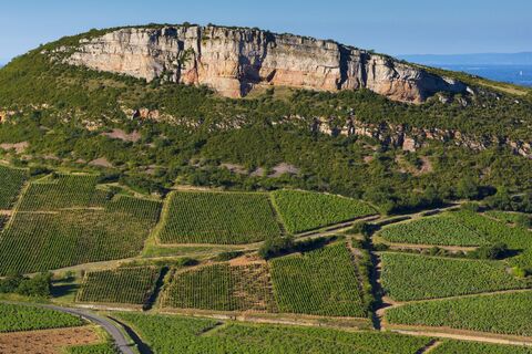 aurélien ibanez (8)