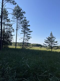 Fotografia z Robert Rettig na trase