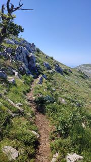 Photo de Uroš Belec le long du parcours
