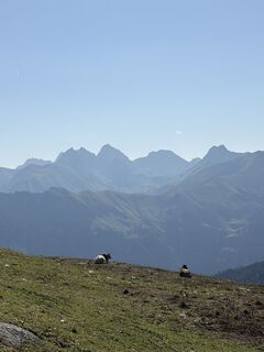 Foto von Bettina Boysen entlang der Tour