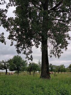 Foto von Pascal Meijers entlang der Tour