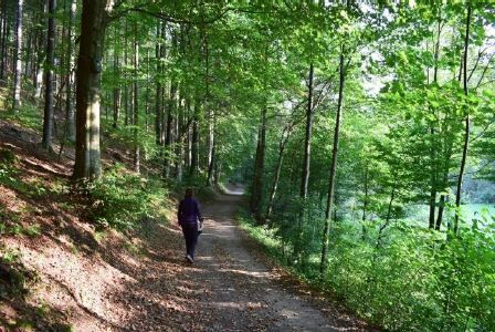 Freistadt_Erster Thuryhammer_1