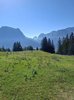 Foto von gottie entlang der Tour