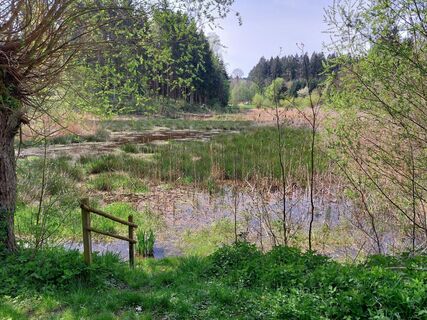 Photo de Bill Bird le long du parcours