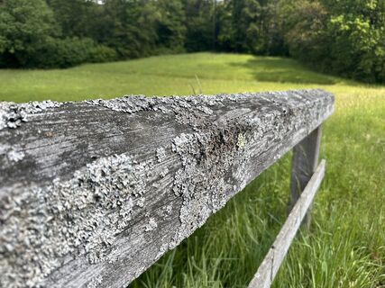 Foto de Norbert Herbig a lo largo del recorrido