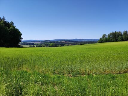 Foto von Peter Bauridl entlang der Tour