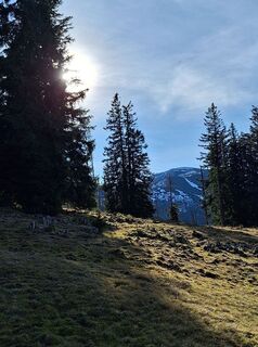 Photo de Mimi le long du parcours