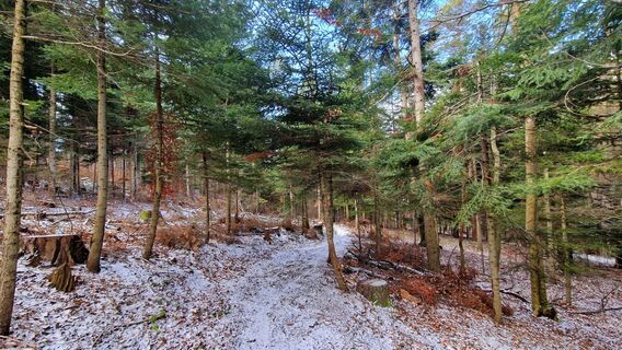 Foto von EP87 entlang der Tour