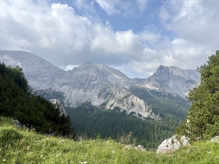 Photo de Irene Brunnegger le long du parcours