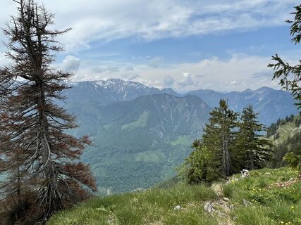 Zdjęcie z Wenzl73 wzdłuż trasy