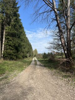 Photo de Lothar le long du parcours