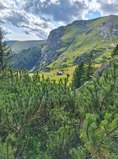 Foto från Dagmar Hofer under resans gång