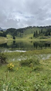 Foto von Krista Boot entlang der Tour