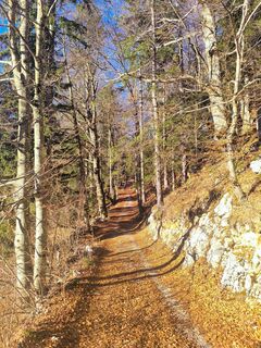 Foto de Darija Forgač a lo largo del recorrido