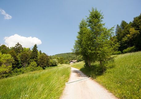 Wandern im Grünen