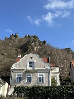 Foto von Pollux entlang der Tour