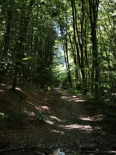 Foto von Dániel Pólya entlang der Tour