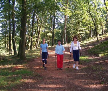 Nordic Walking Gruppe