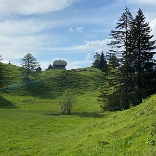 Blick Richtung Waisacher Alm