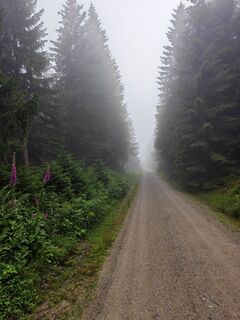 Photo de ReginaSt le long du parcours