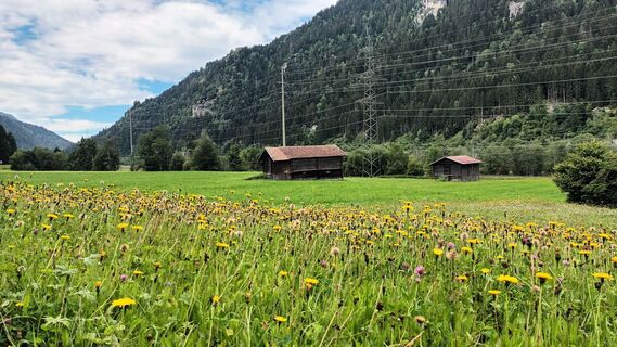 Foto fra Antonella Torelli undervejs på turen