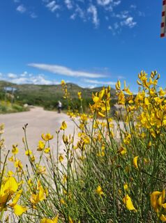 Photo de Monika Stmk le long du parcours