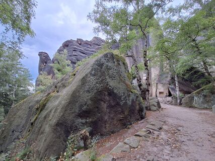 Fotografia z Johann Kaltenegger na trase