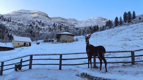 Zdjęcie z Nozzo wzdłuż trasy