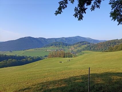 Foto von Maria Punz 1 entlang der Tour