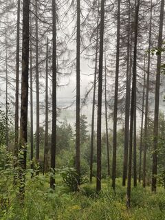 Foto von Christian Burger entlang der Tour