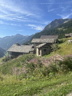 Foto von Mony entlang der Tour