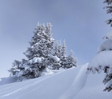 Typische Winterlandschaften während dieser Tour